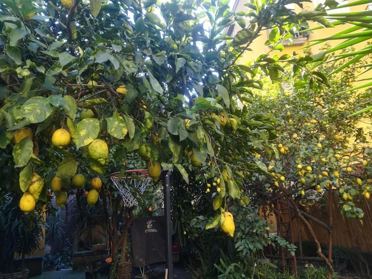 La Limonaia Di Chiaia Appartement Napels Buitenkant foto