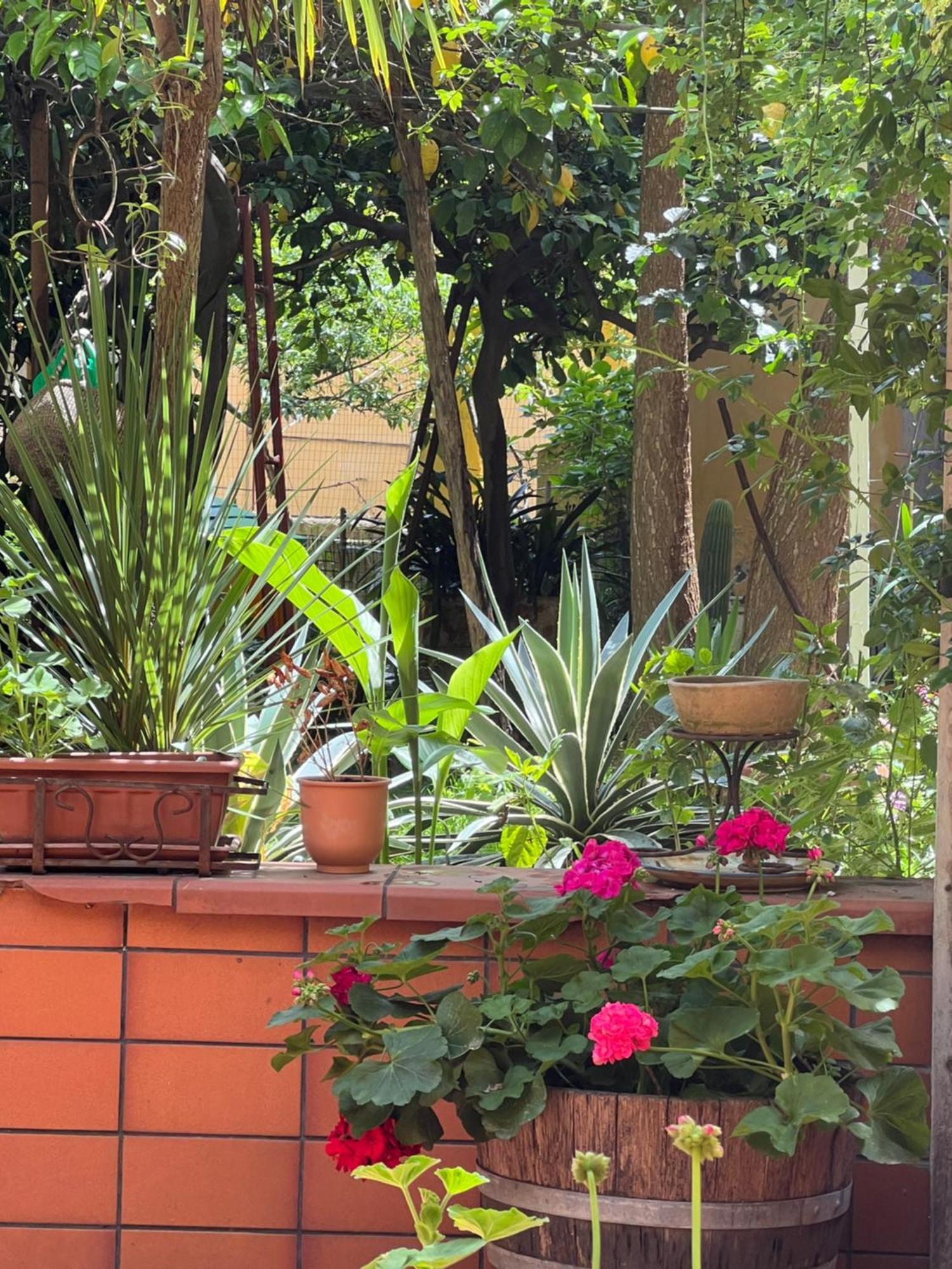 La Limonaia Di Chiaia Appartement Napels Buitenkant foto