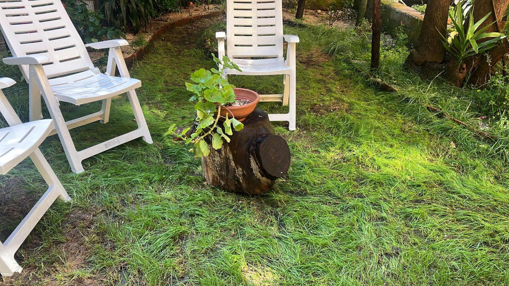 La Limonaia Di Chiaia Appartement Napels Buitenkant foto